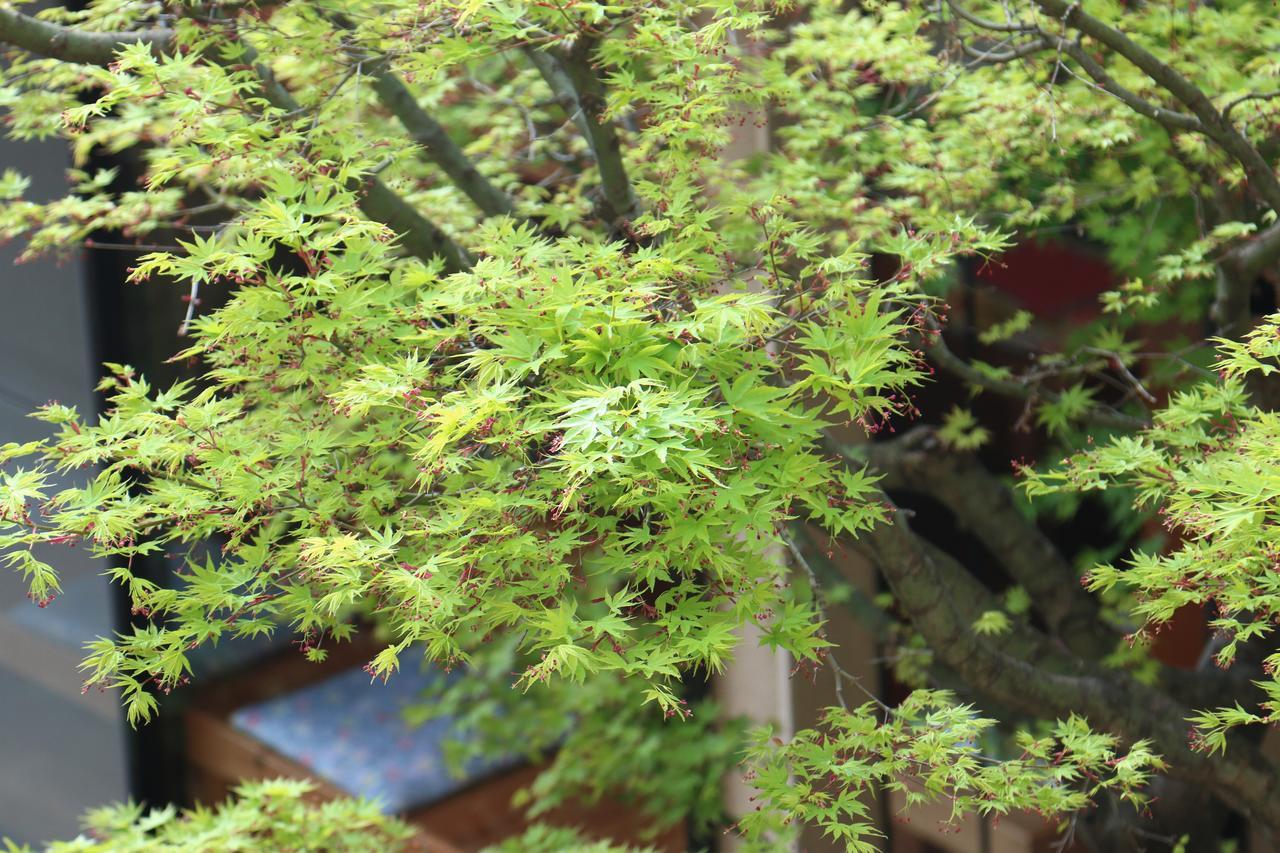 Okaya Ryokan Okitsu Zewnętrze zdjęcie